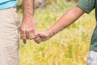 Father and son in the countryside