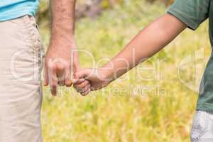 Father and son in the countryside