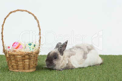 Easter rabbit with basket of eggs on grass