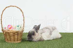 Easter rabbit with basket of eggs on grass