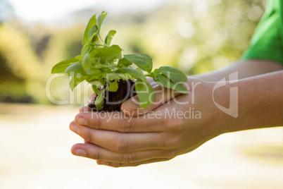Environmental activist showing a plant