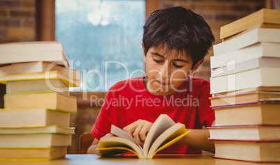 Cute little boy reading book