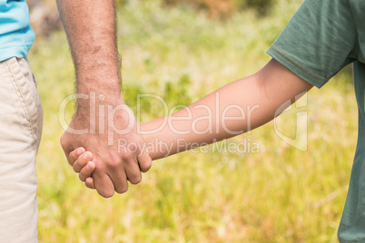 Father and son in the countryside