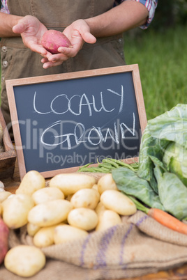 Farmer selling organic veg at market