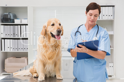 Vet examining a dog and writing on clipboard