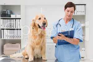 Vet examining a dog and writing on clipboard