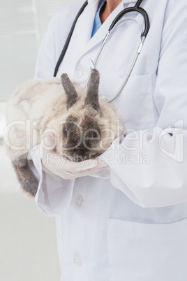 Veterinarian with a rabbit in his arms