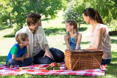 Happy family on a picnic in the park