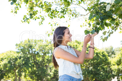 Pretty brunette smiling in park