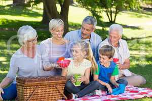 Happy family having picnic in the park