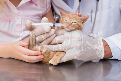 Veterinarian doing injection at a cute cat with it owner