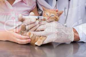 Veterinarian doing injection at a cute cat with it owner