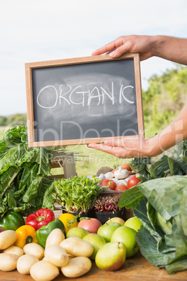 Farmer selling his organic produce