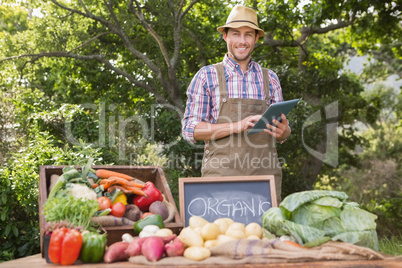 Farmer selling organic veg at market
