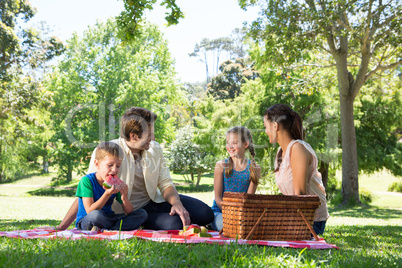 Happy family on a picnic in the park