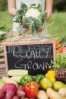 Woman selling organic vegetables