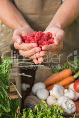 Farmer showing his organic raspberries