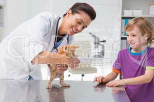Veterinarian examining a cat with its owner