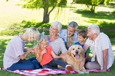 Happy family talking in the park