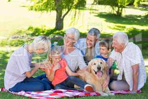 Happy family talking in the park