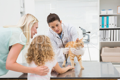 Veterinarian examining a cat with its owners