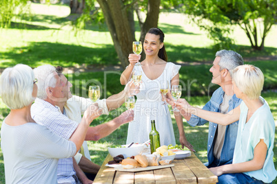 Pretty brunette toasting with her family