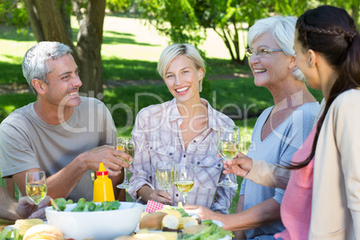 Happy family having picnic in the park