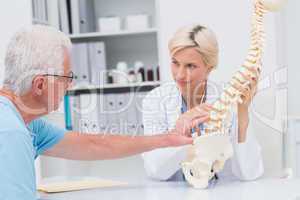 Senior patient showing spine problems to doctor at table