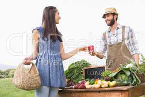 Farmer selling his organic produce