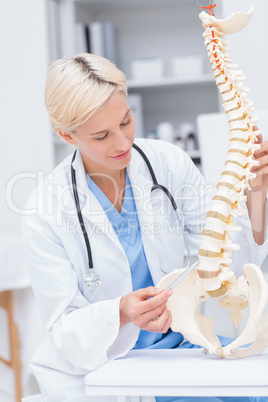 Doctor with anatomical spine in clinic