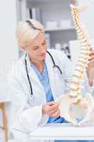 Doctor with anatomical spine in clinic