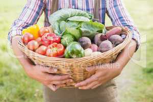 Farmer carrying basket of veg