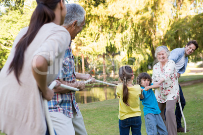 Extended family having tug of war