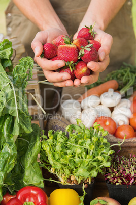 Farmer showing his organic strawberries