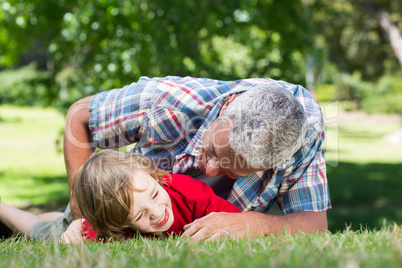 Happy father playing on the grass with his son