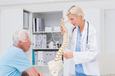 Female doctor explaining anatomical spine to senior man