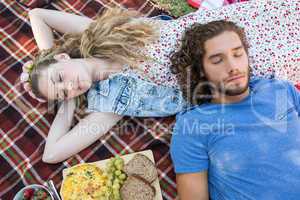 Cute couple having a picnic