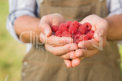 Farmer showing his organic raspberries