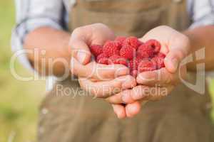 Farmer showing his organic raspberries