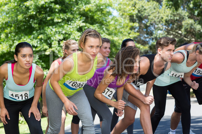 Fit people running race in park