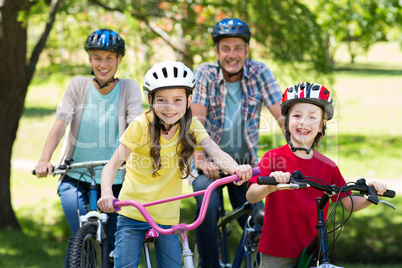 Happy family on their bike at the park