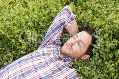 Handsome man relaxing in field