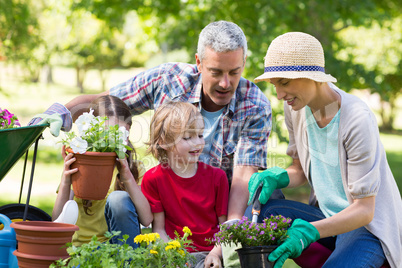 Happy family gardening