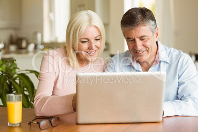 Happy mature couple using laptop