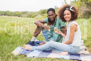 Young couple on a picnic drinking wine