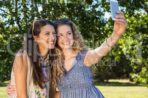 Pretty friends taking a selfie