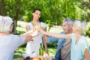 Pretty brunette toasting with her family