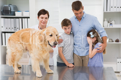 Smiling vet examining a dog with its scared owners