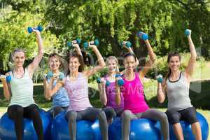 Fitness group using exercise balls in park