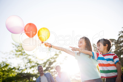 Happy siblings holding balloons at the park